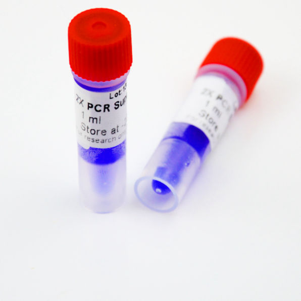 2x Blue PCR Master Mix