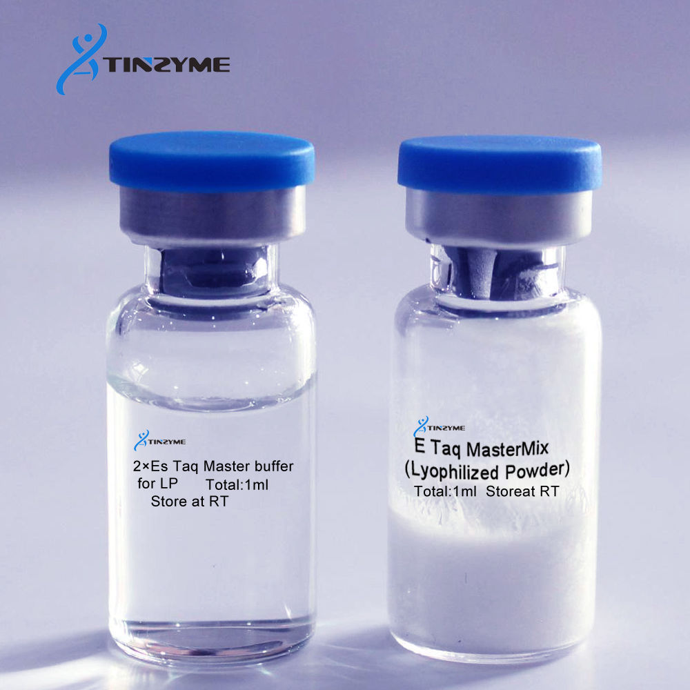 2x E Taq PCR Master Mix Lyophilized Powder