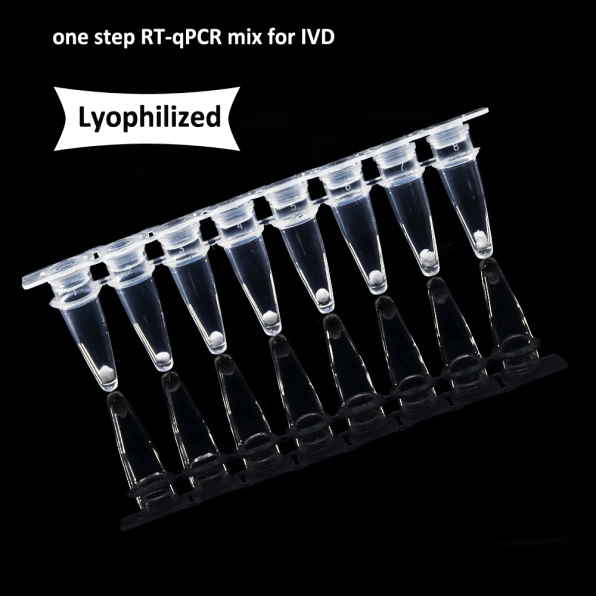 HotStar Probe One Step RT-qPCR lyophilized Powder