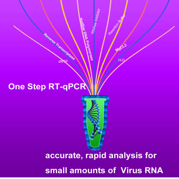 HotStar Probe one step RT-qPCR mix for COVID-19