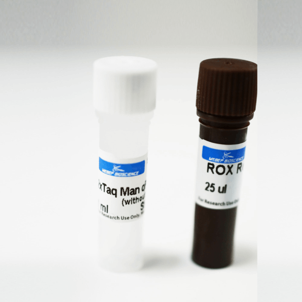 HotStar TaqMan Probe qPCR Mix with low rox